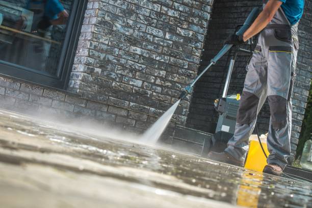 Best Soft Washing for Delicate Surfaces in Eleanor, WV