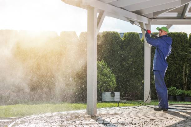 Best Sidewalk and Walkway Pressure Cleaning in Eleanor, WV